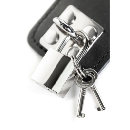 Ошейник с поводком ToyFa Theatre