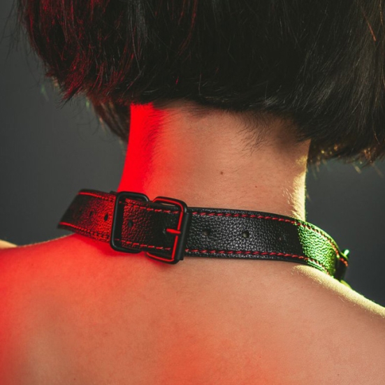 Кляп-трензель Lola toys Infatuation