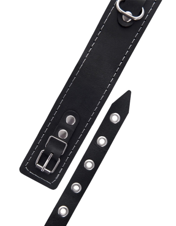 Ошейник с поводком Pecado